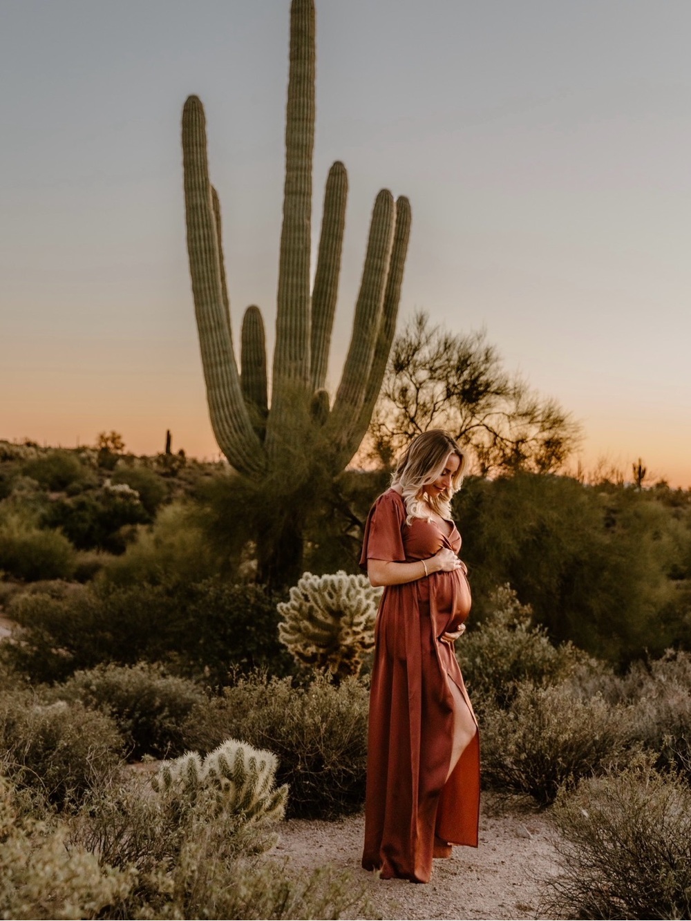 Baltic Born Warm Brown Satin Maxi Dress